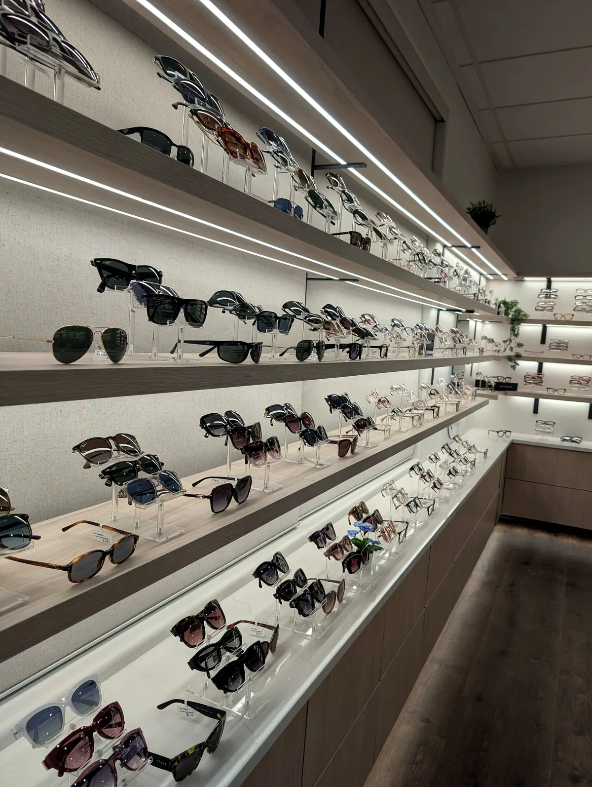 Prescription sunglasses and frame options for Utah sun at Riverton Family Eye Care